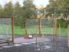pergola